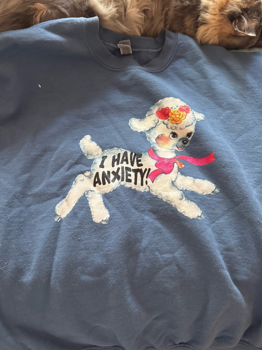 “I have anxiety” sweatshirt